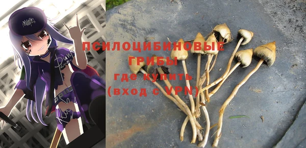 герыч Абинск