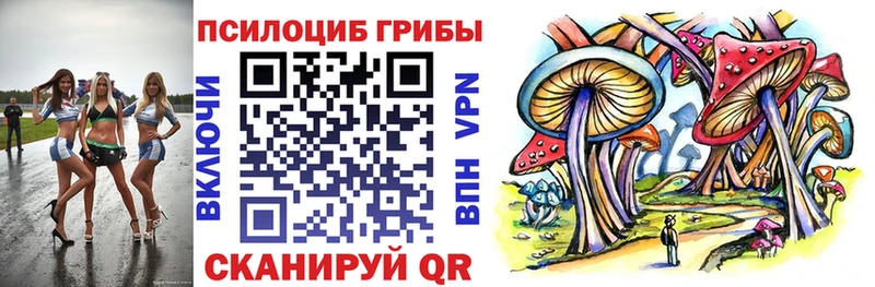 Псилоцибиновые грибы Psilocybine cubensis  Советская Гавань 